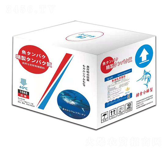 �~�����嵰��-ϣ��