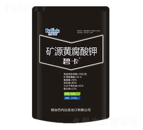 �VԴ�S�����-�̿�-�̓�(n��i)�_(d��)