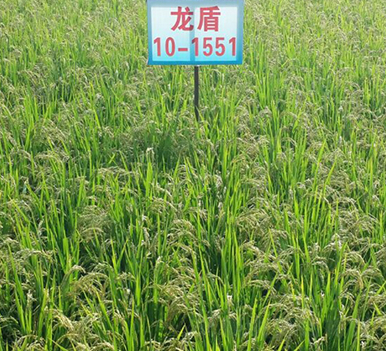 ����10-1551-ˮ���N��-ɏ�R�r(n��ng)�I(y��)