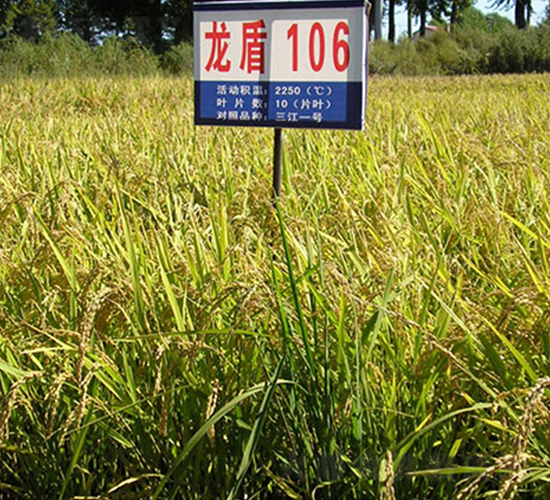 ����106-ˮ���N��-ɏ�R�r(n��ng)�I(y��)