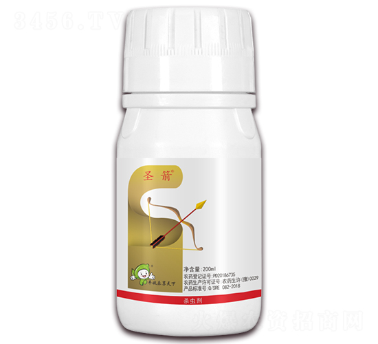 12%�׾S���x����-ʥ��-�S�՘�