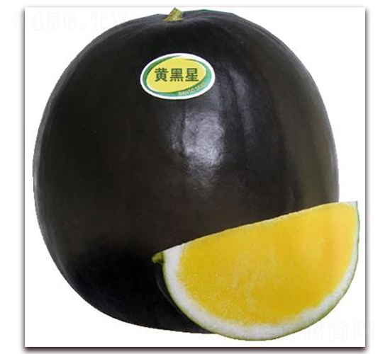 �S��������-���ϷN��-���\�N��