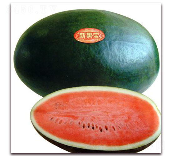 �ºڌ�����-���ϷN��-���\(ch��ng)�N��