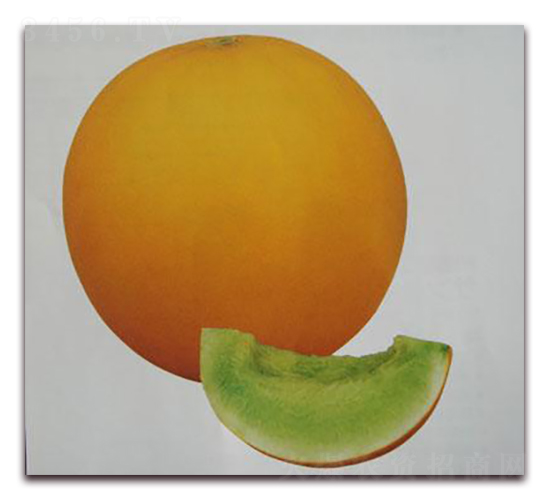 ���������-��ϷN��-���\�N��