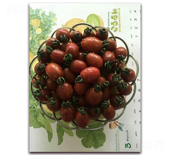 ��С��-���ѷN��-���\(ch��ng)�N��