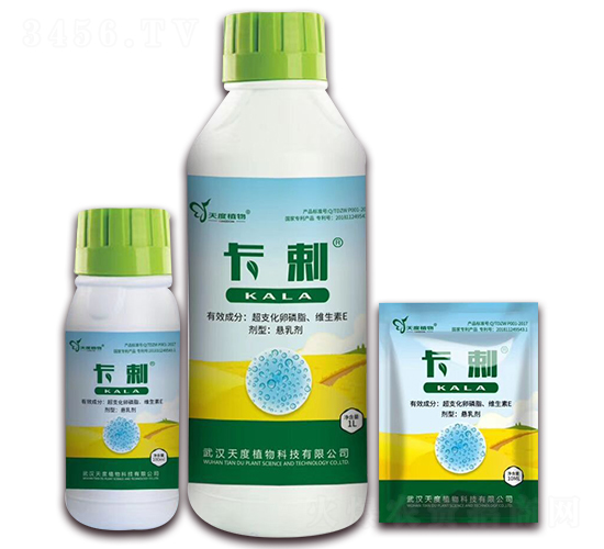 ����-���ֲ��