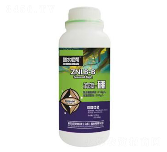 ������-���_