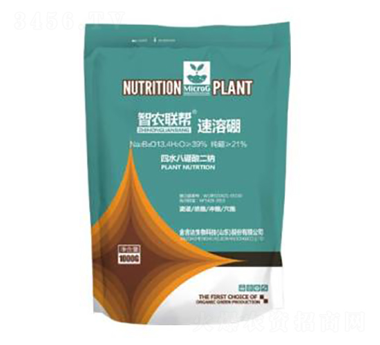 ������-���_(d��)