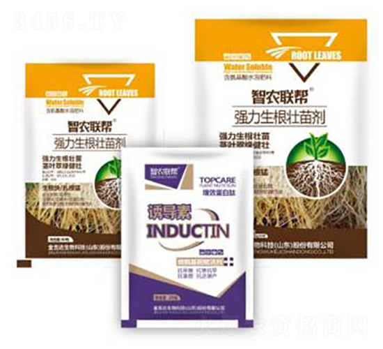 �������焩-���_