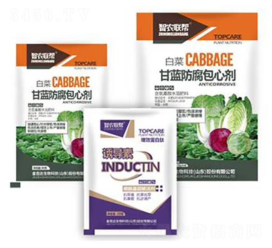 ���{�������Ą�-���_