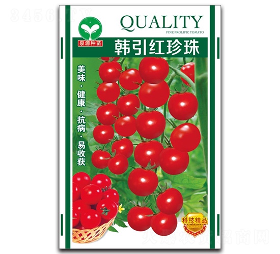 �n���t����-ʥŮ���N��-ȪԴ