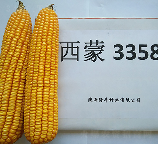 ����3358-¡�S�N�I(y��)