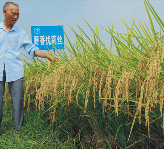 Ұ�マ(y��u)��z-�G���N�I(y��)