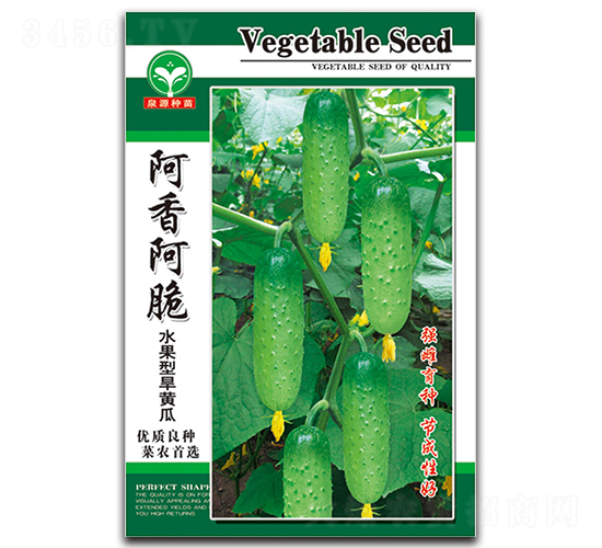 ���㰢��-�S�ϷN��-ȪԴ