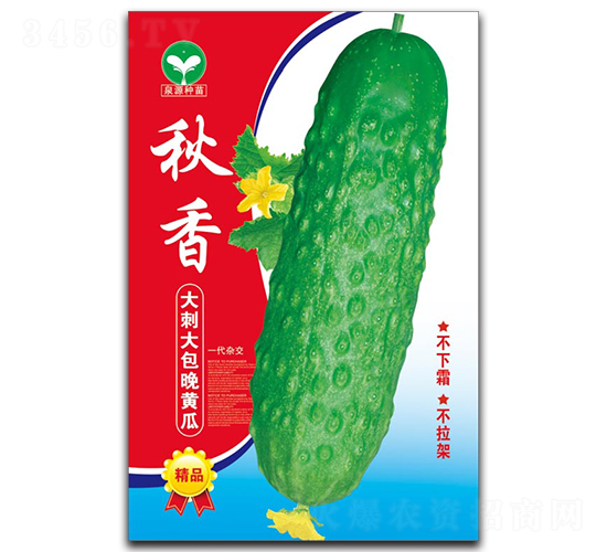 ����-�S�ϷN��-ȪԴ