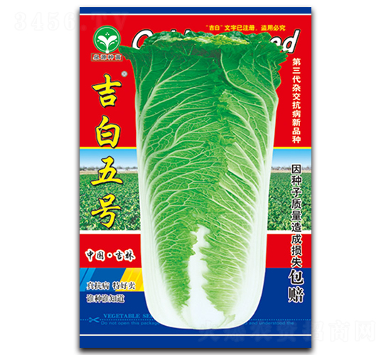 ������̖(h��o)-�ײ˷N��-ȪԴ