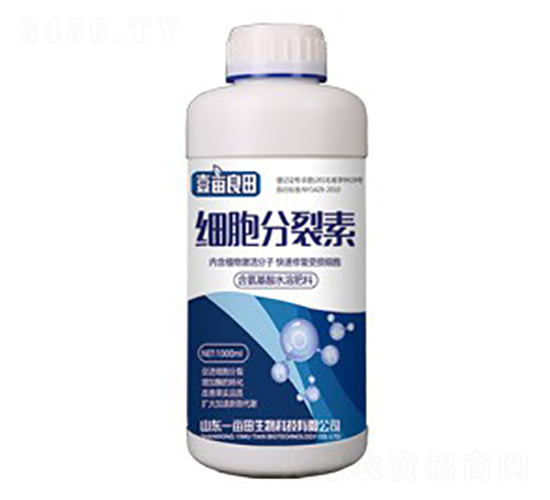 ��(x��)��������-Ҽ������