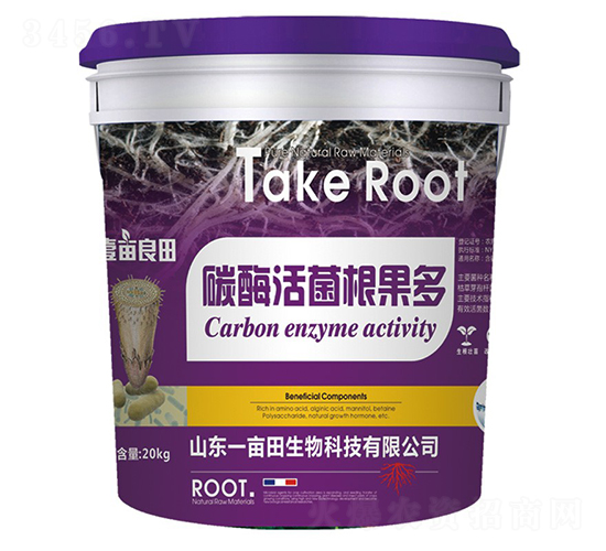 ̼ø���������-Ҽ������