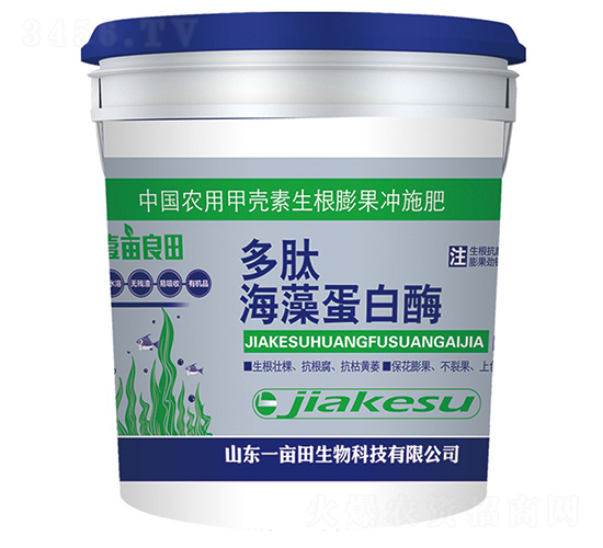 ���ĺ��嵰��ø-Ҽ������