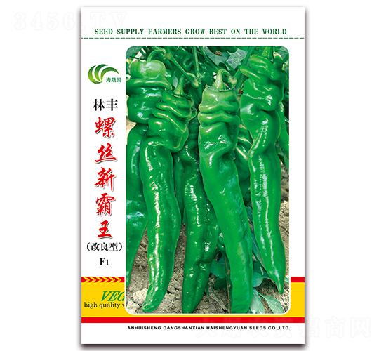 �ݽz�°���-�ݽz���N��-���Ɉ@