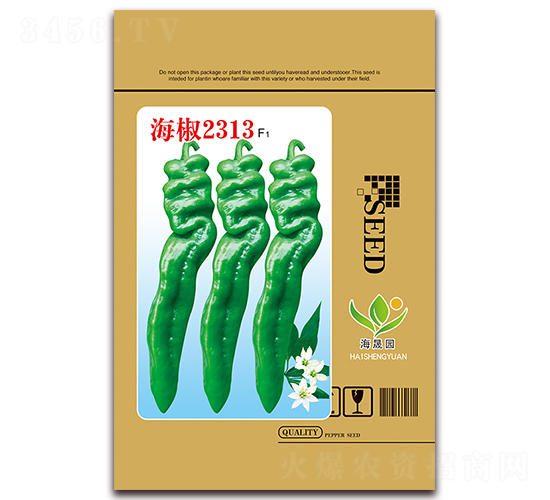 ����2313-�ݽz���N��-���Ɉ@