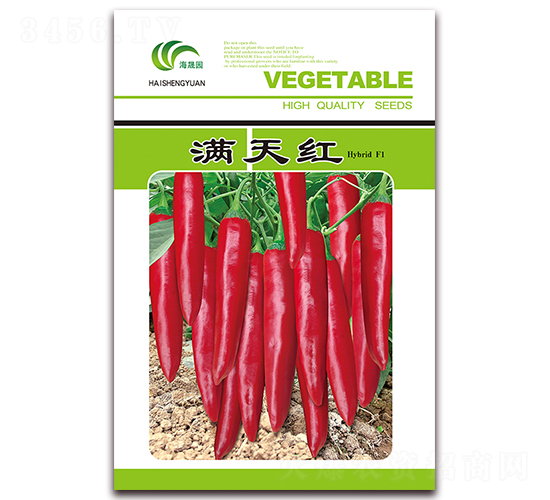 �M��t-�t���N��-���Ɉ@