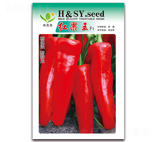 �t����-�t���N��-���Ɉ@