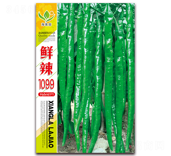 �r��1099-�����N��-���Ɉ@