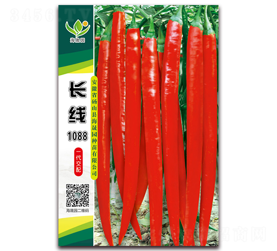 �L(zh��ng)��1088-�����N��-���Ɉ@