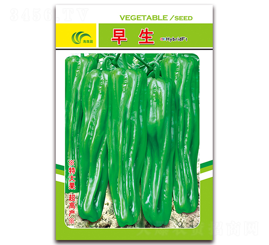 ����-��Ƥ�ݽ��N��-���Ɉ@