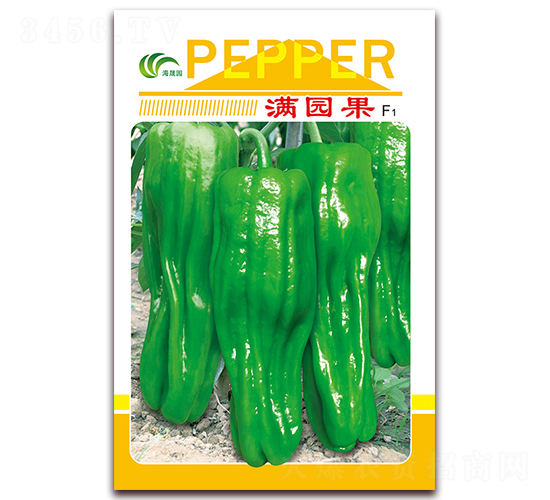 �M�@��-��Ƥ�ݽ��N��-���Ɉ@