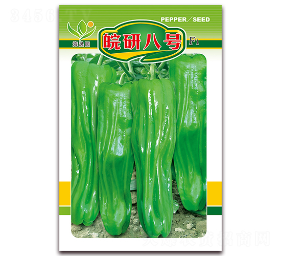 ���а�̖-��Ƥ�ݽ��N��-���Ɉ@