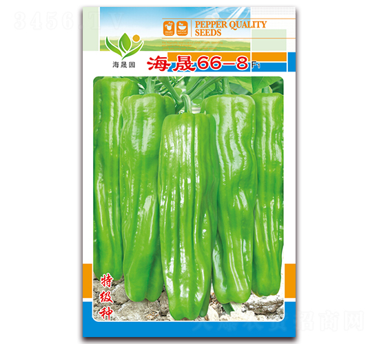 ����66-8-��Ƥ�ݽ��N��-���Ɉ@