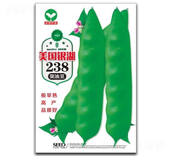 �����y��238-���ǷN��-ȪԴ