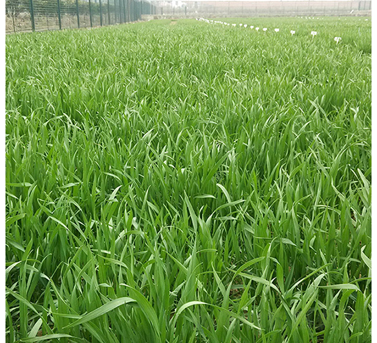 ���r(n��ng)1124-�A��N�I(y��)