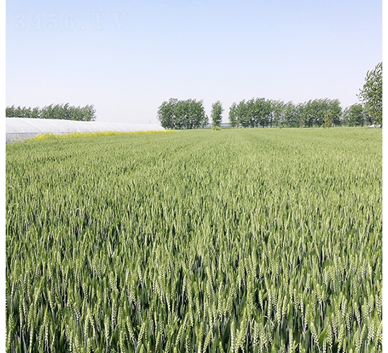 ����25-�A��N�I(y��)