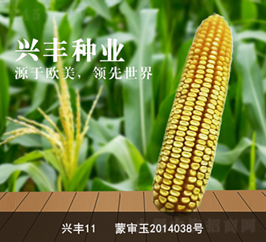 �d�S11-�d�S�N�I(y��)