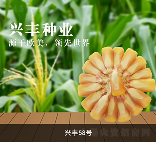 �d�S58̖(h��o)-���׷N��-�d�S�N�I(y��)