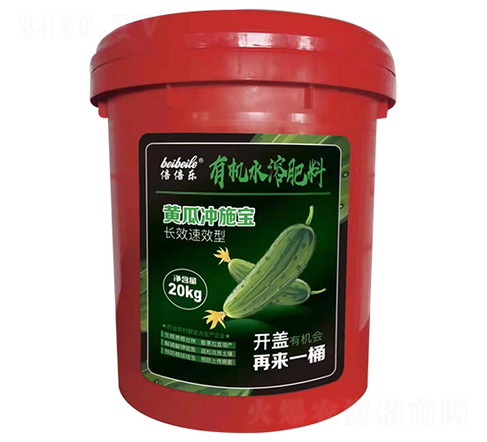 �S�ϛ_ʩ��-������-�����f��