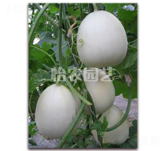 ��ϷN��-���r(n��ng)�@ˇ