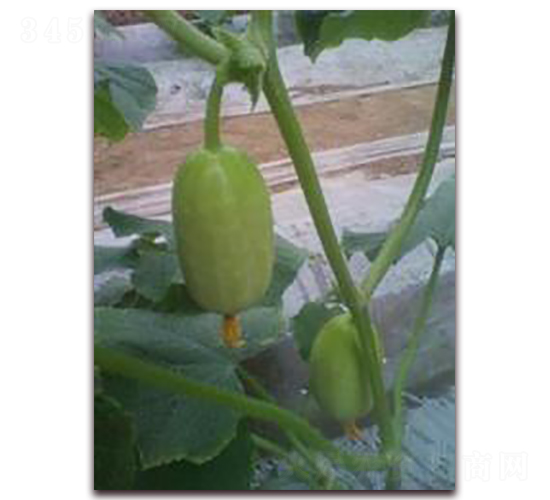 ��Ů-�S�ϷN��-���r(n��ng)�@ˇ