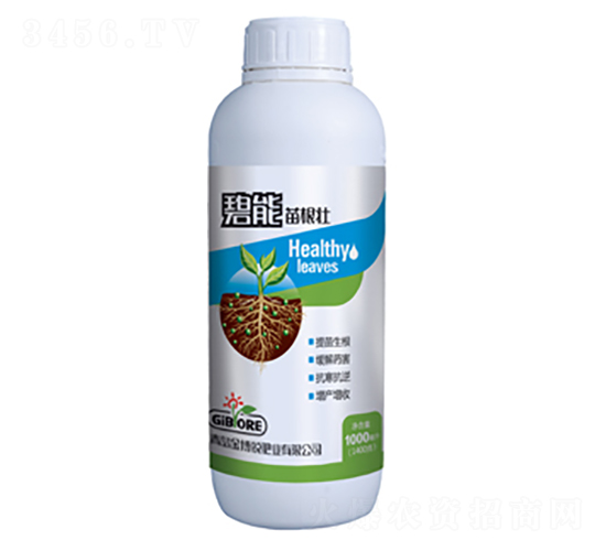 1000ml���������-���J