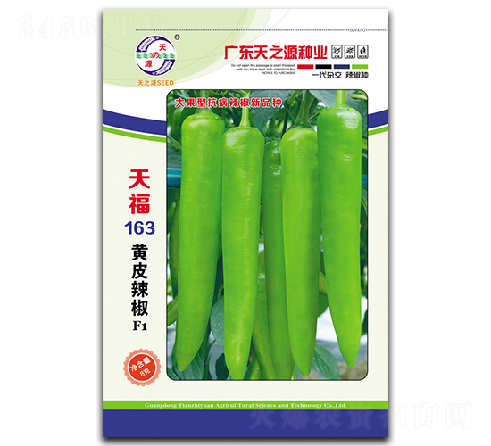 �츣163�SƤ����-�����N��-��֮Դ