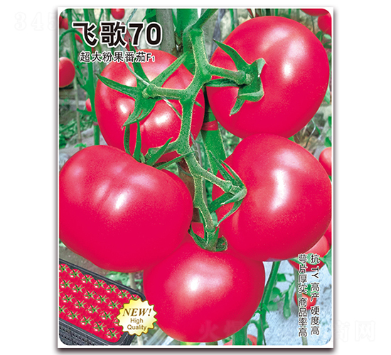 �w��70-���ѷN��-�w���r(n��ng)�I(y��)