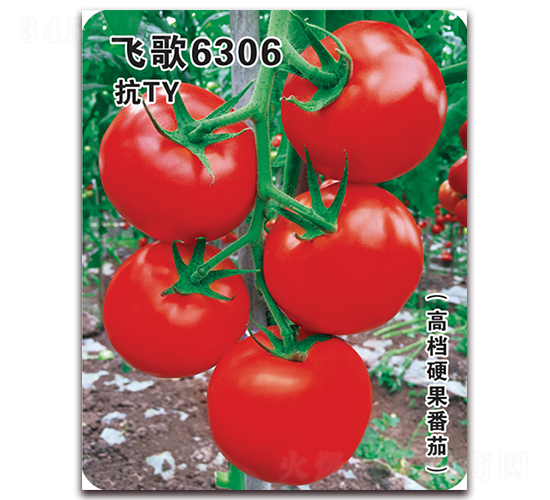 �w��6306-���ѷN��-�w���r(n��ng)�I(y��)