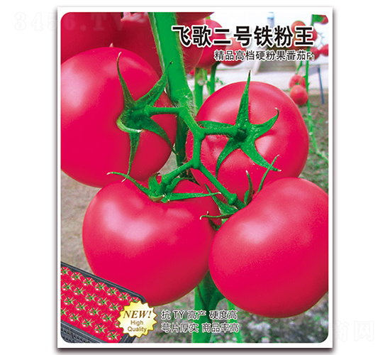 �w���̖�F����-���ѷN��-�w���r(n��ng)�I(y��)