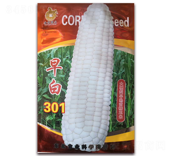 ���301-��Ŵ���׷N��-���R�_Ԫ