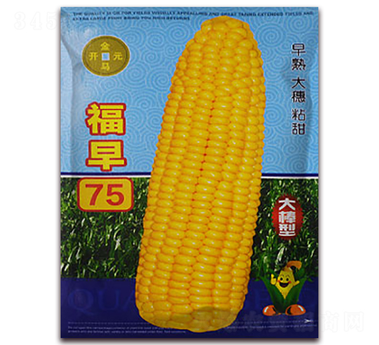 ����75-���׷N��-���R�_(k��i)Ԫ