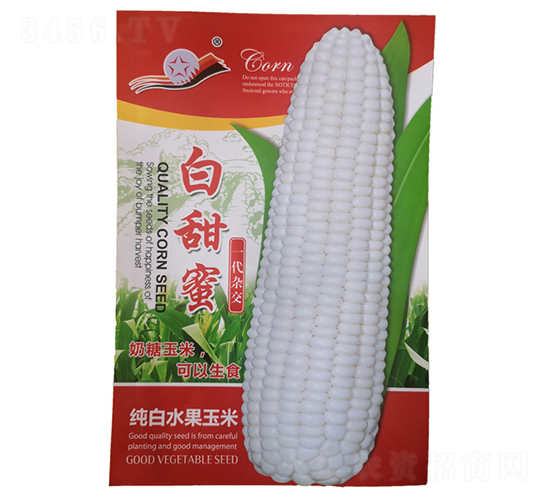 ������-���׷N��-���R�_Ԫ