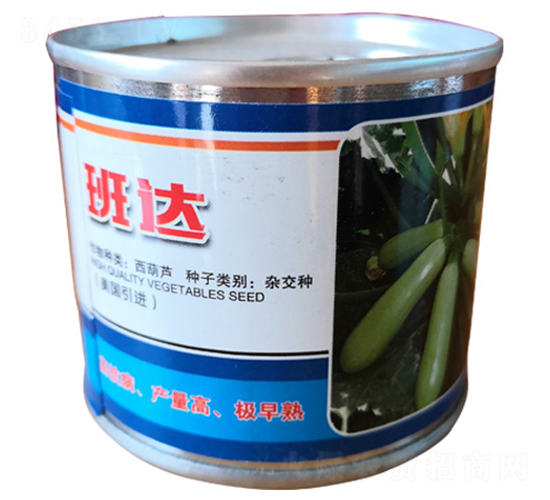 ���_-�����J�N��-���R�_Ԫ